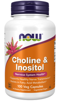 NOW Foods Choline & Inositol 500mg 100 VCaps
